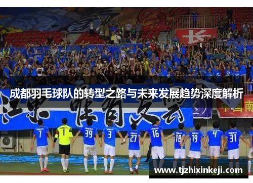 成都羽毛球队的转型之路与未来发展趋势深度解析